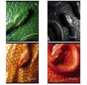 Тетрадь 48л., А5 клетка BG,  