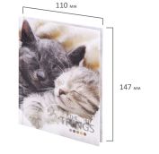 Блокнот МАЛЫЙ ФОРМАТ (110х147 мм), А6, 80 л., твёрдый, клетка, STAFF, 